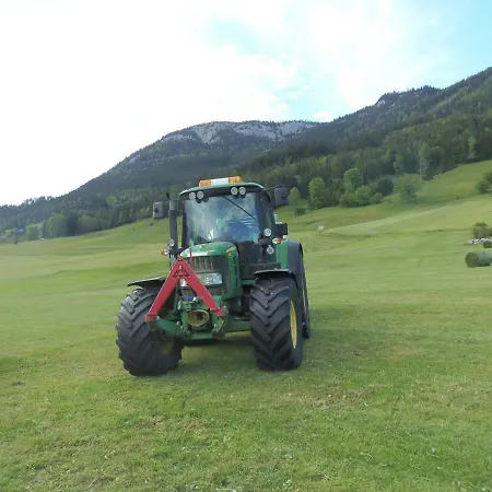 Apartamento Andrea *