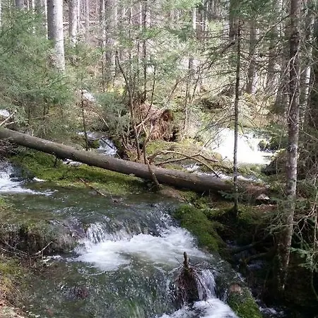 Andrea Bad Mitterndorf