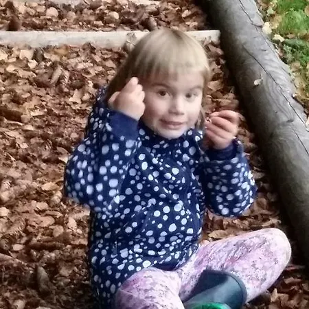 Andrea Apartamento Bad Mitterndorf