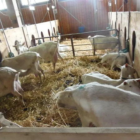 Apartamento Andrea *