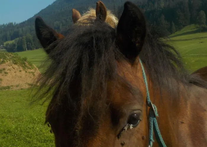 Andrea Daire Bad Mitterndorf