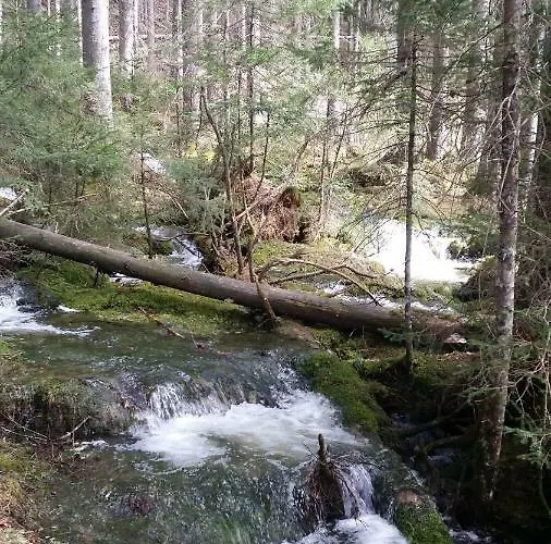 Andrea باد ميترندورف